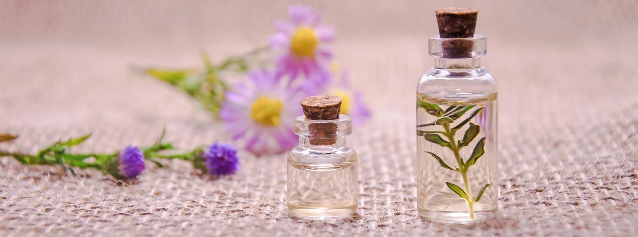 Fir Essential Oil Price Guide: Balsam, Siberian, and Beyond