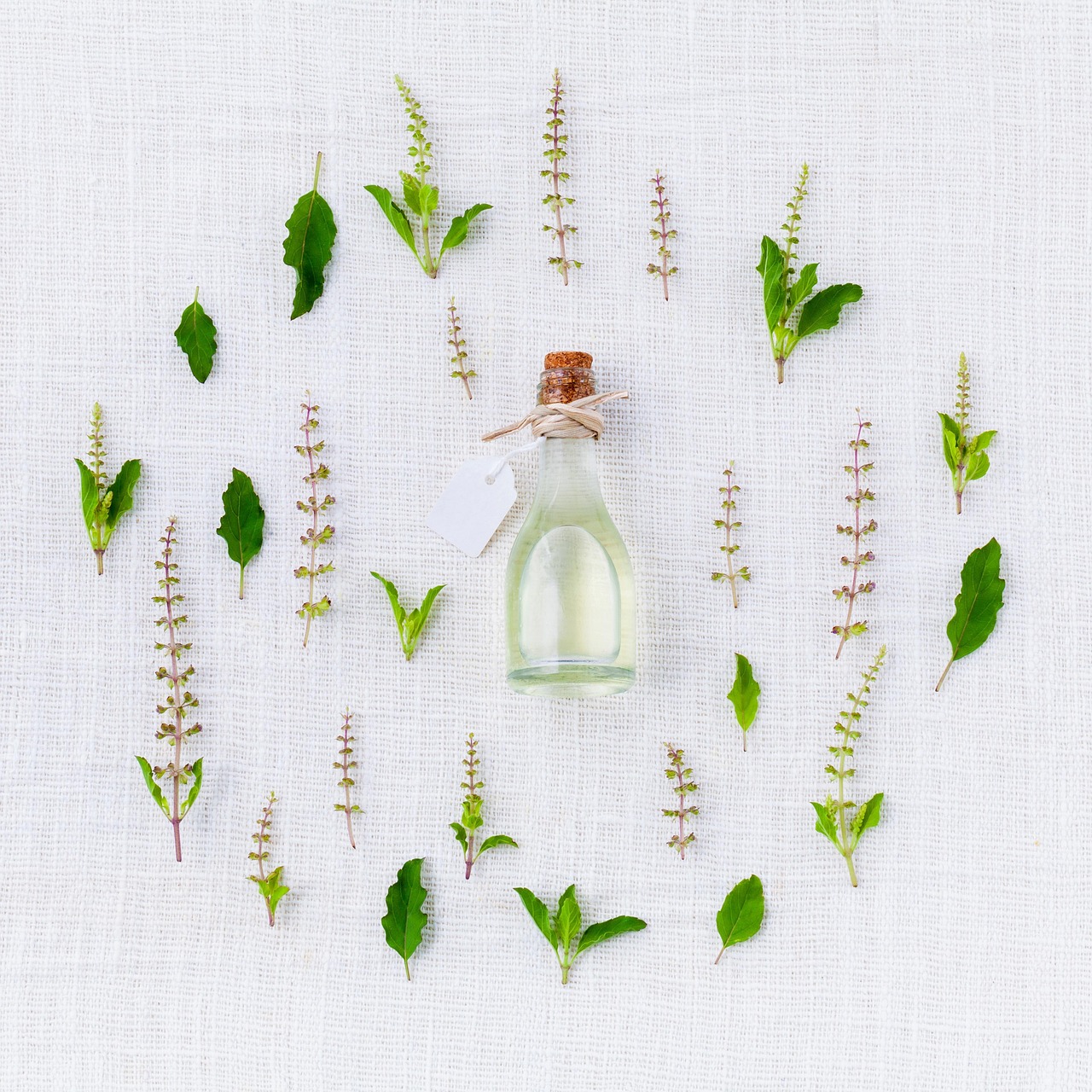 What Blends Well With Fir Essential Oil? 12 Woodland Partners